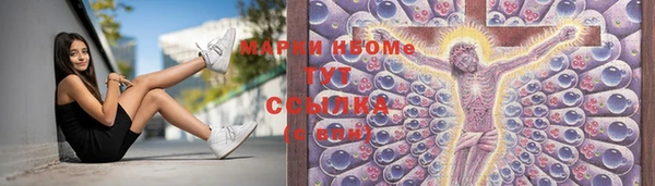сатива Беломорск