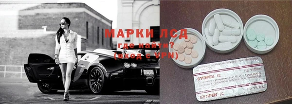 сатива Беломорск
