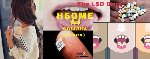 сатива Беломорск