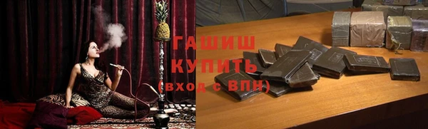 сатива Беломорск