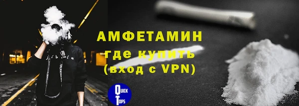сатива Беломорск