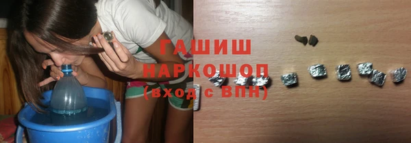 сатива Беломорск