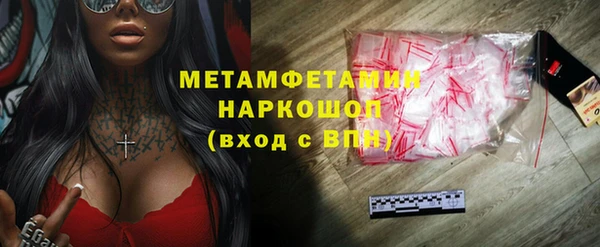сатива Беломорск