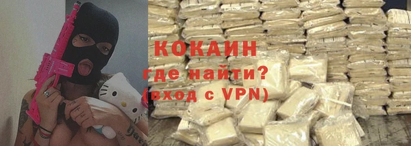 сатива Беломорск
