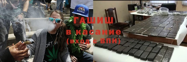 сатива Беломорск