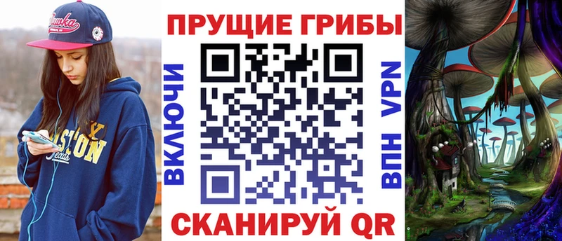как найти   OMG ССЫЛКА  Псилоцибиновые грибы прущие грибы  Южноуральск 