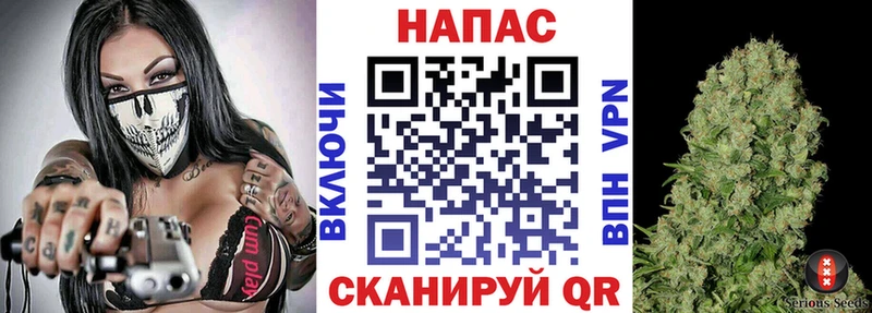 Марихуана план  где купить   Южноуральск 